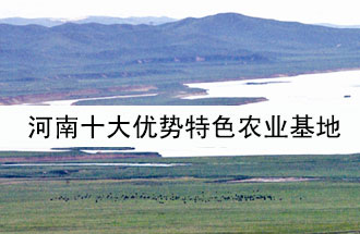 8月19日，河南省政府發(fā)布了關于深入推進農(nóng)業(yè)供給側結構性改革 大力發(fā)展優(yōu)勢特色農(nóng)業(yè)的意見