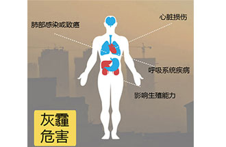 空氣中PM2.5 是由什么物質(zhì)組成的？