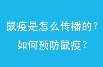 鼠疫是怎么傳播的？如何預(yù)防鼠疫？